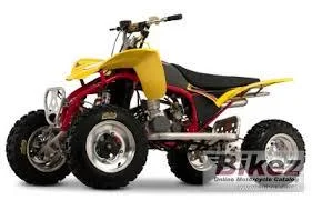 Cobra ECX50 2009