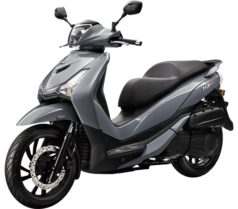 Sym HD 300