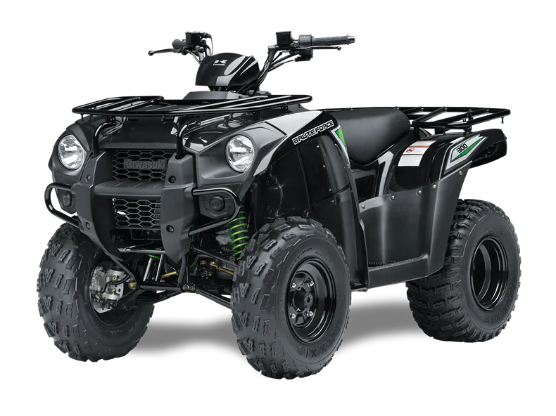 Kawasaki Brute Force 300