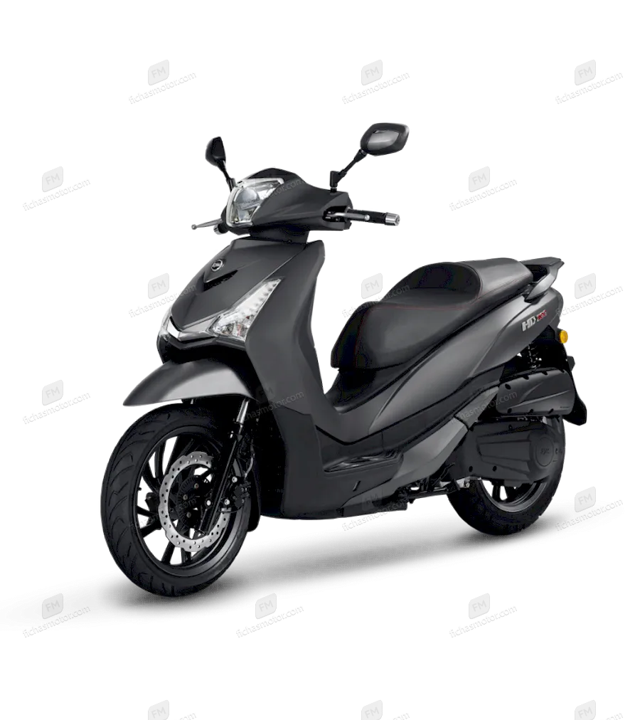 Sym HD 300