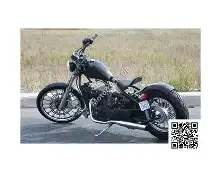 Johnny Pag Raptor 300