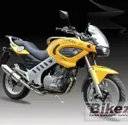 Jonway YY 250 X-8