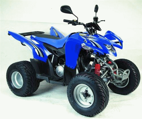 Aeon Cobra 220 2009
