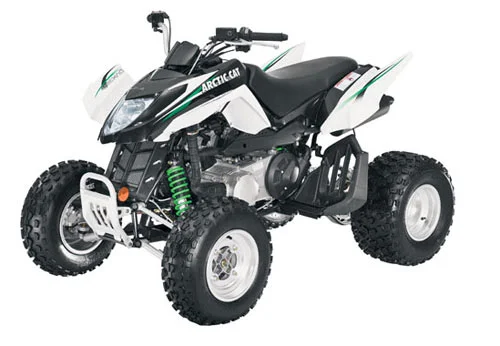 Arctic Cat 300 DVX