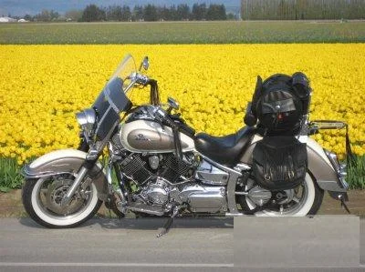 Yamaha XVS 1100 Drag Star