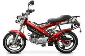 Sachs MadAss 125