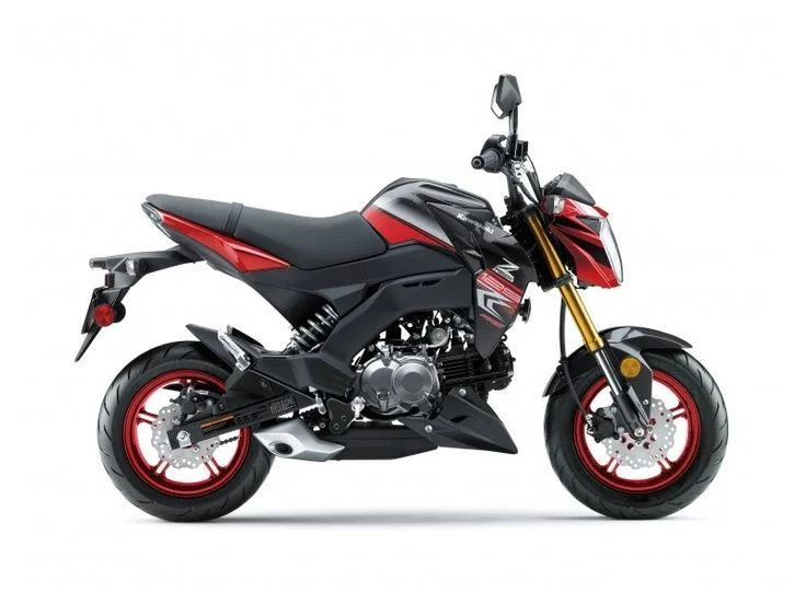 Kawasaki Z125 Pro