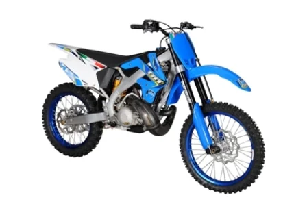 TM MX 300 2010