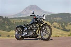 Saxon Reaper 2010