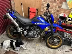 Yamaha XT 660 X