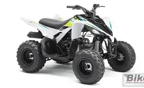 Yamaha YFM 90 R