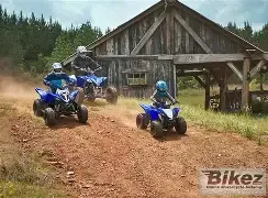 Yamaha YFZ 50