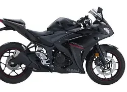 Yamaha YZF-R 25
