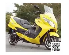 ZEVLRC X