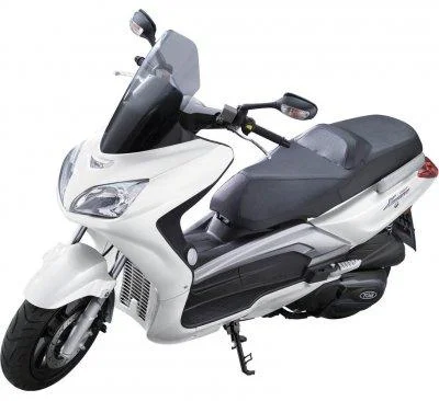 TGB X Large 250 EFI 2011