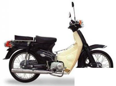 Veli ZQ 100 2005