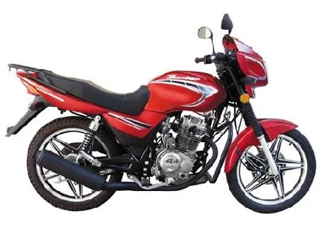 Vibgyor Hunter 125 2011