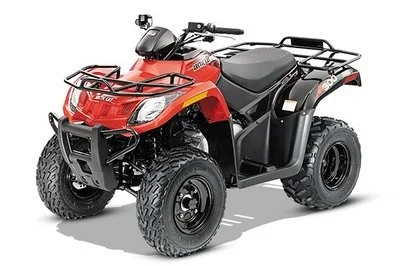 Arctic Cat 300