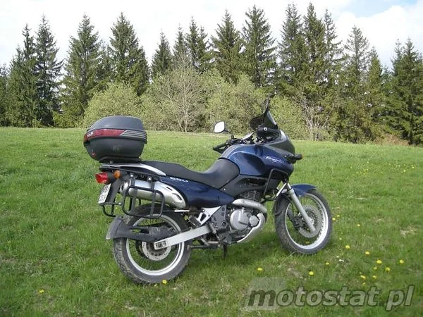 Suzuki XF 650 Freewind 1999