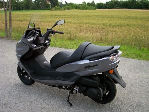 Linhai Mainstreet 300