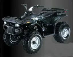 E-Ton Challenger CXL-150