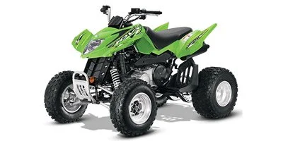 Arctic Cat DVX 300