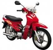 Nipponia NC 90 2009