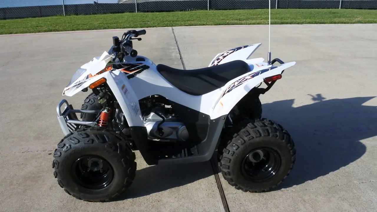 Arctic Cat DVX 90