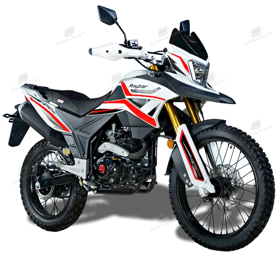 Raybar Volcano 250 2020