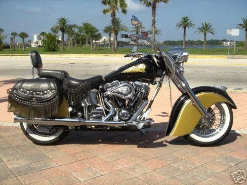 Indian Chief