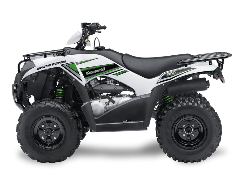 Kawasaki Brute Force 300