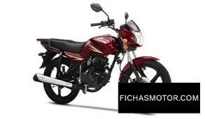Loncin LX125-71A City Star L 2013