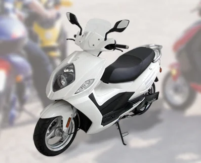 Innoscooter Elektroroller EM 6000 Maxi-Lithium