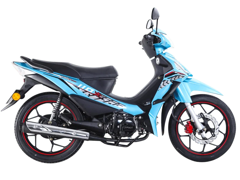 Lifan PKS110