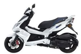 PGO B1-50 2016