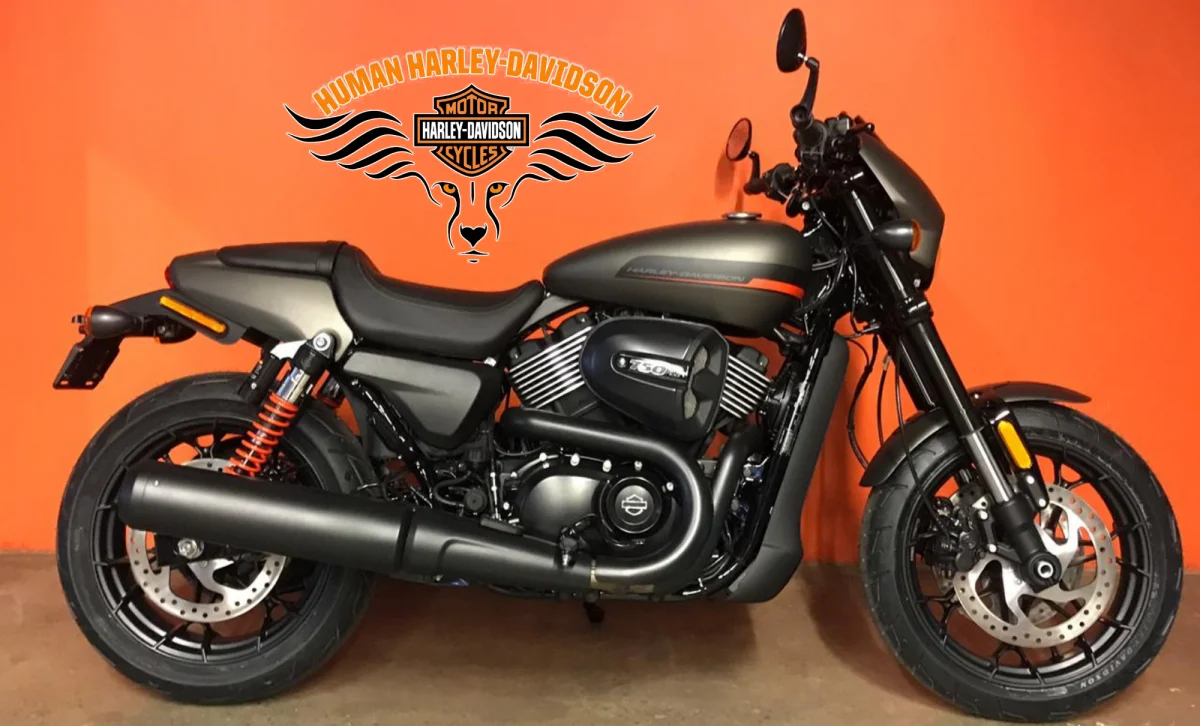 Harley-Davidson Street Rod