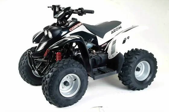 Aeon Cobra 100 2019