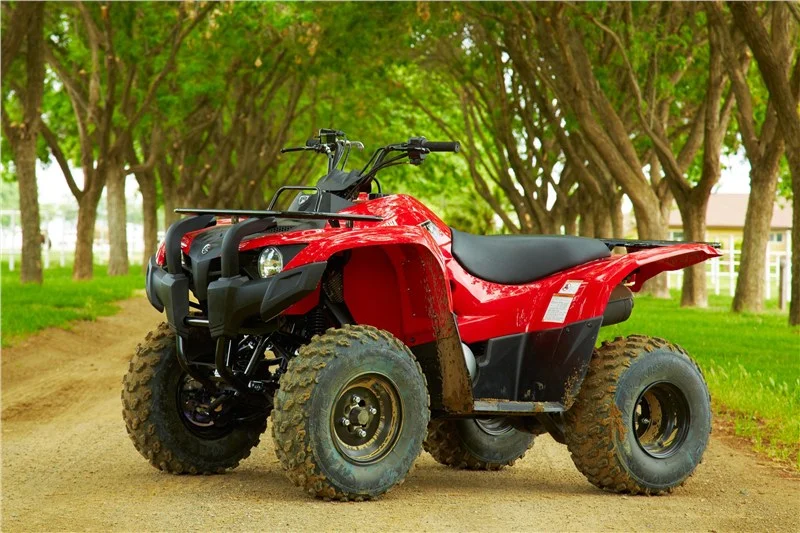 Yamaha Grizzly 300 Automatic