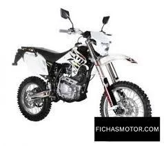Pitster T4 250 SC 19x16 2013