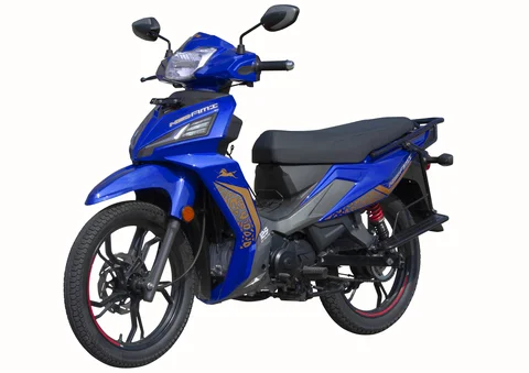 TVS Neo AMI 2024