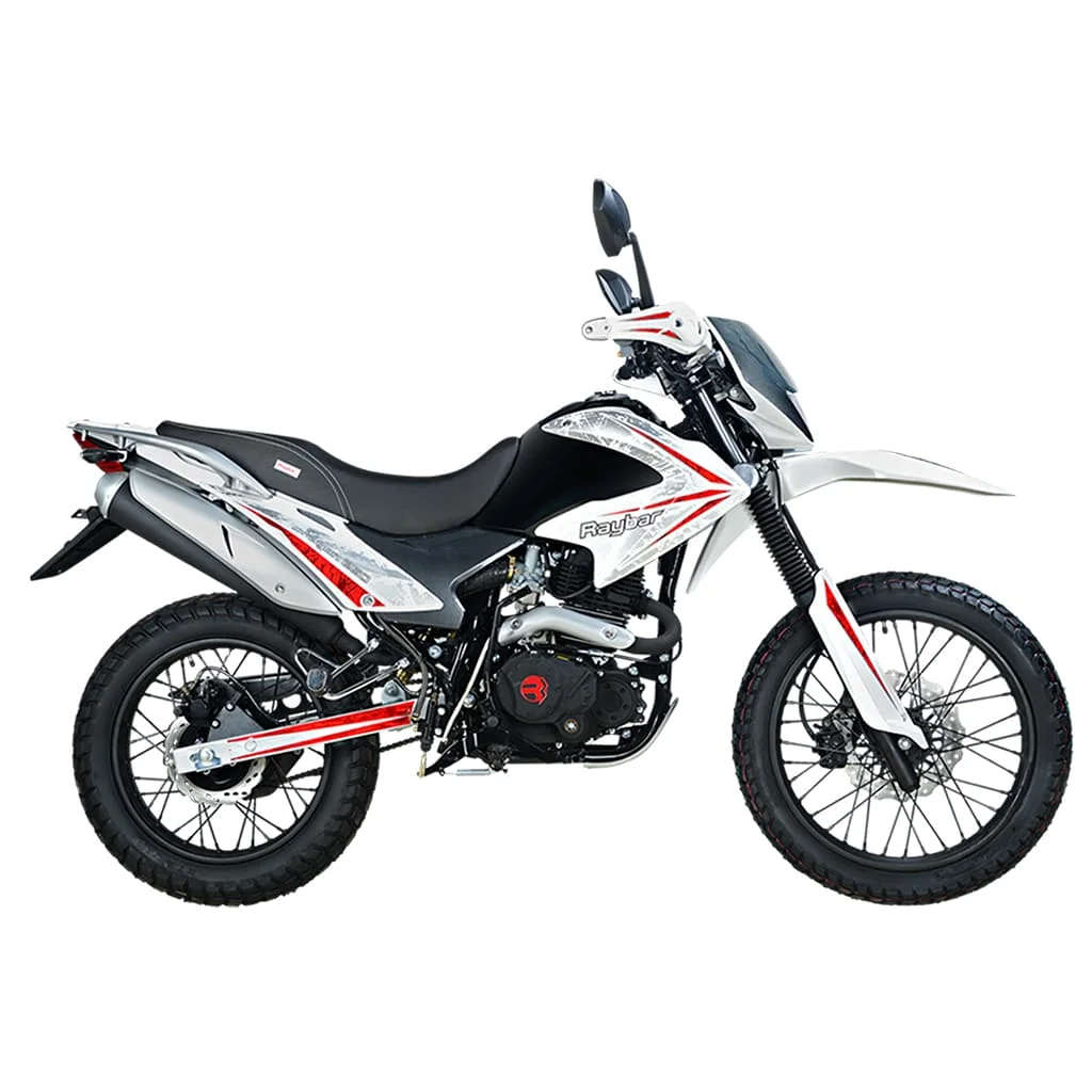 Raybar Dragon 250 2020