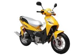 Senke SK100