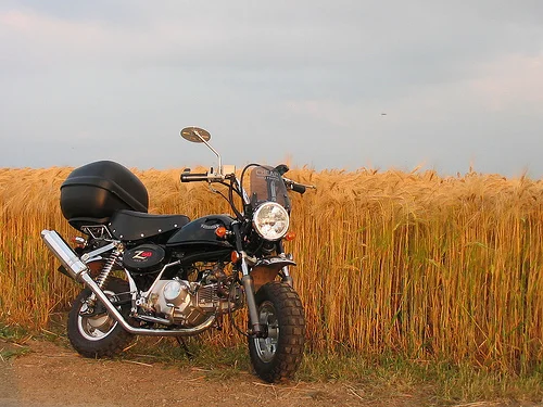 Rokon Ranger 2010