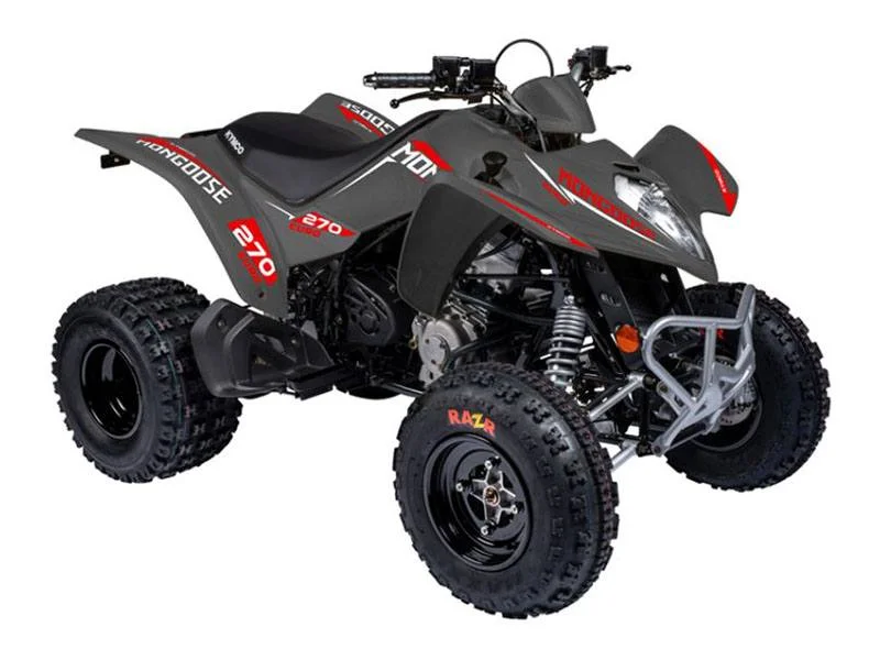 Kymco Mongoose 270 Euro
