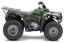 Kawasaki Bayou 250