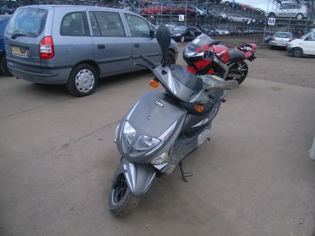 PGO T-Rex 50 2008