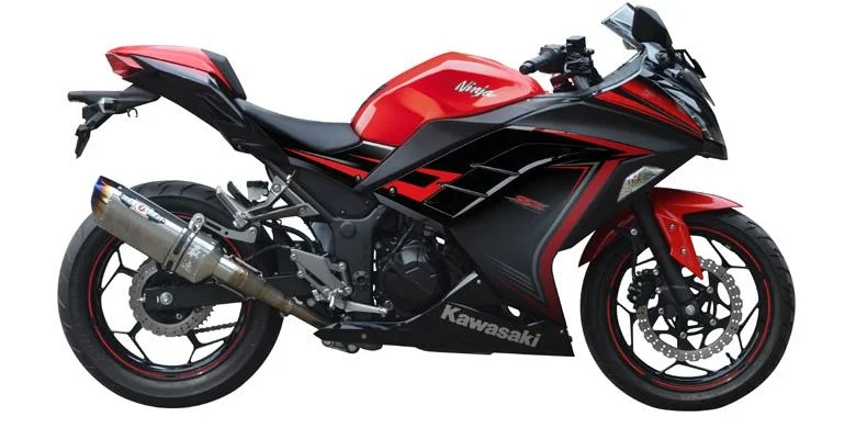Kawasaki Ninja 250 Beet 2015