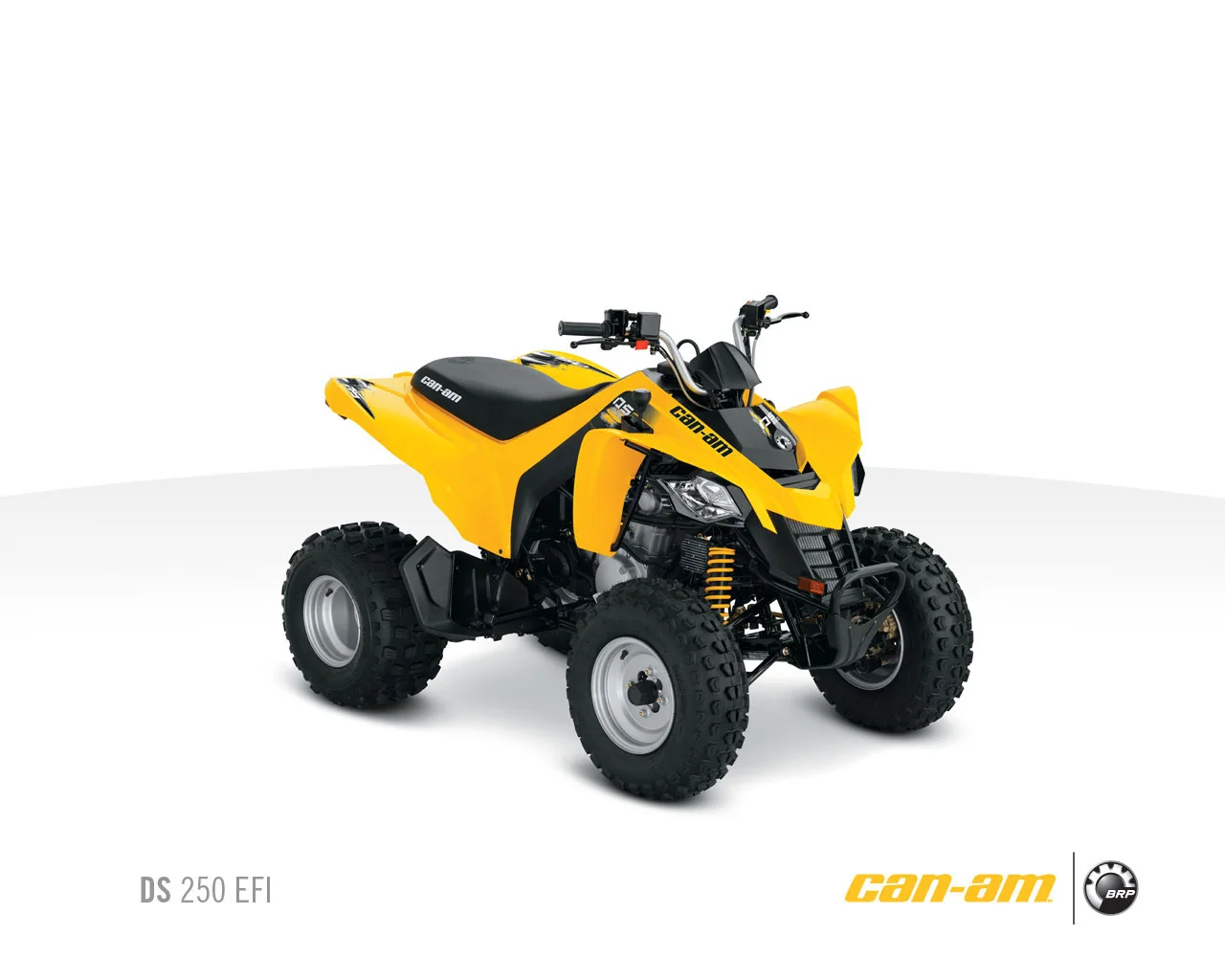 Can-Am DS 250