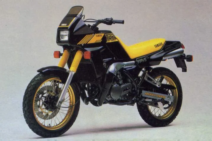 Yamaha TDR 250 1990