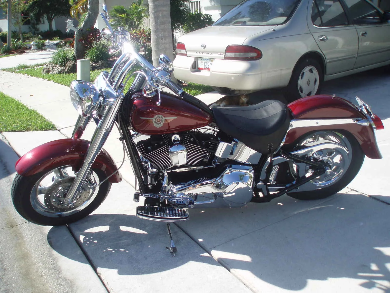 Harley-Davidson Fat Boy Injection